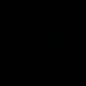 Meet your Posher, Kat